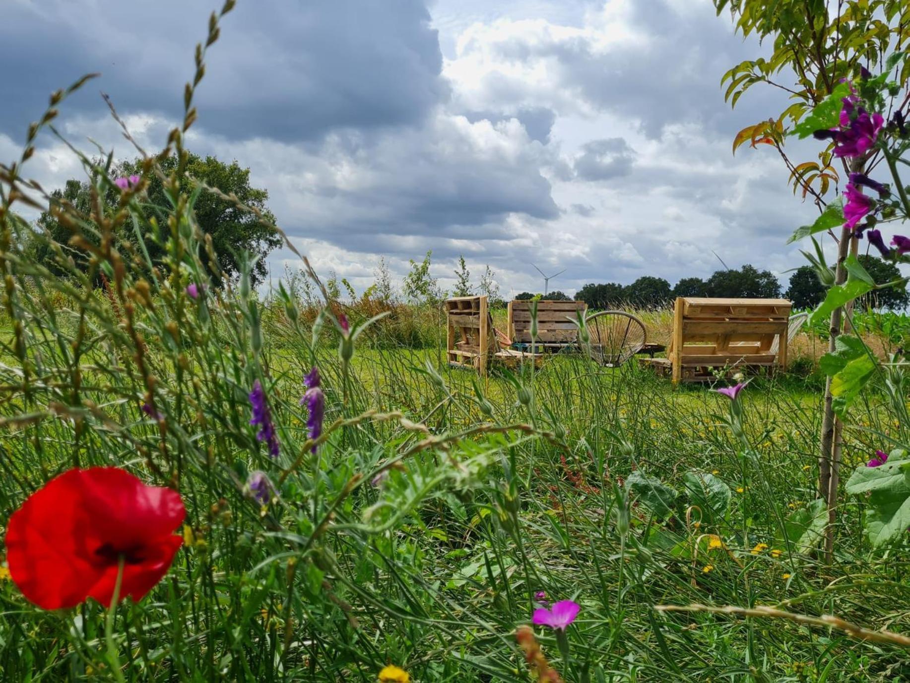 Bell Tent In Een Voedselbos Nederweert-Eind Eksteriør billede